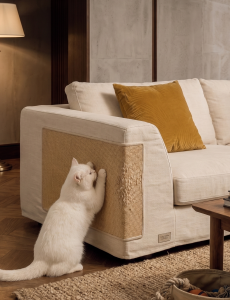 cat cauch cover